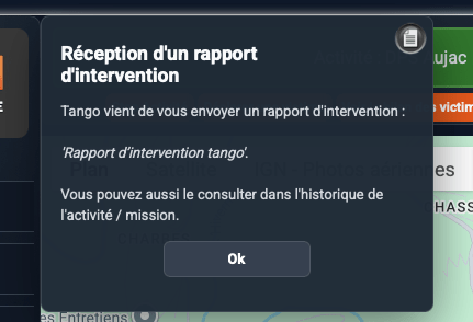 rapport d activité rezo+